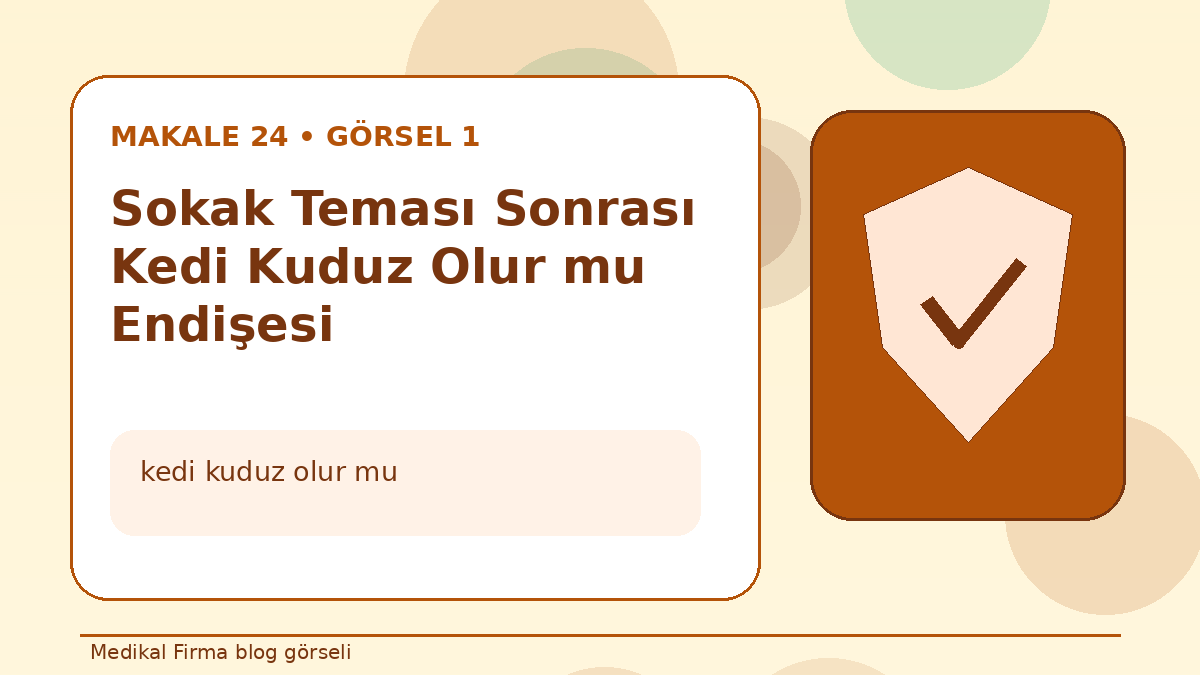 Sokak Teması Sonrası Kedi Kuduz Olur mu Endişesi görseli