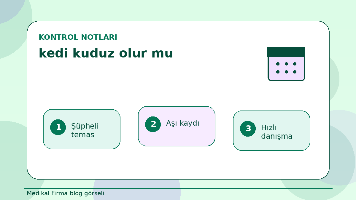 Sokak Teması Sonrası Kedi Kuduz Olur mu Endişesi ikinci görsel