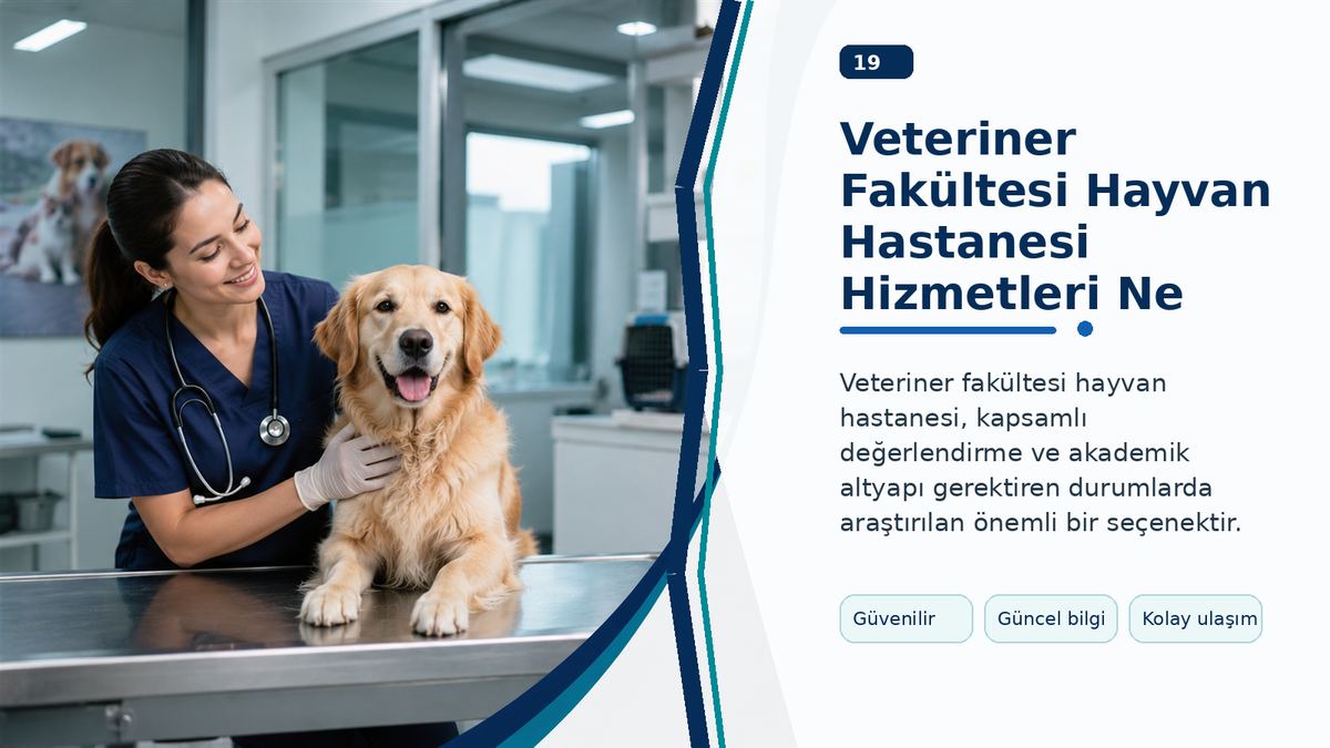 Veteriner Fakültesi Hayvan Hastanesi Hizmetleri Ne Zaman Gündeme Gelir?