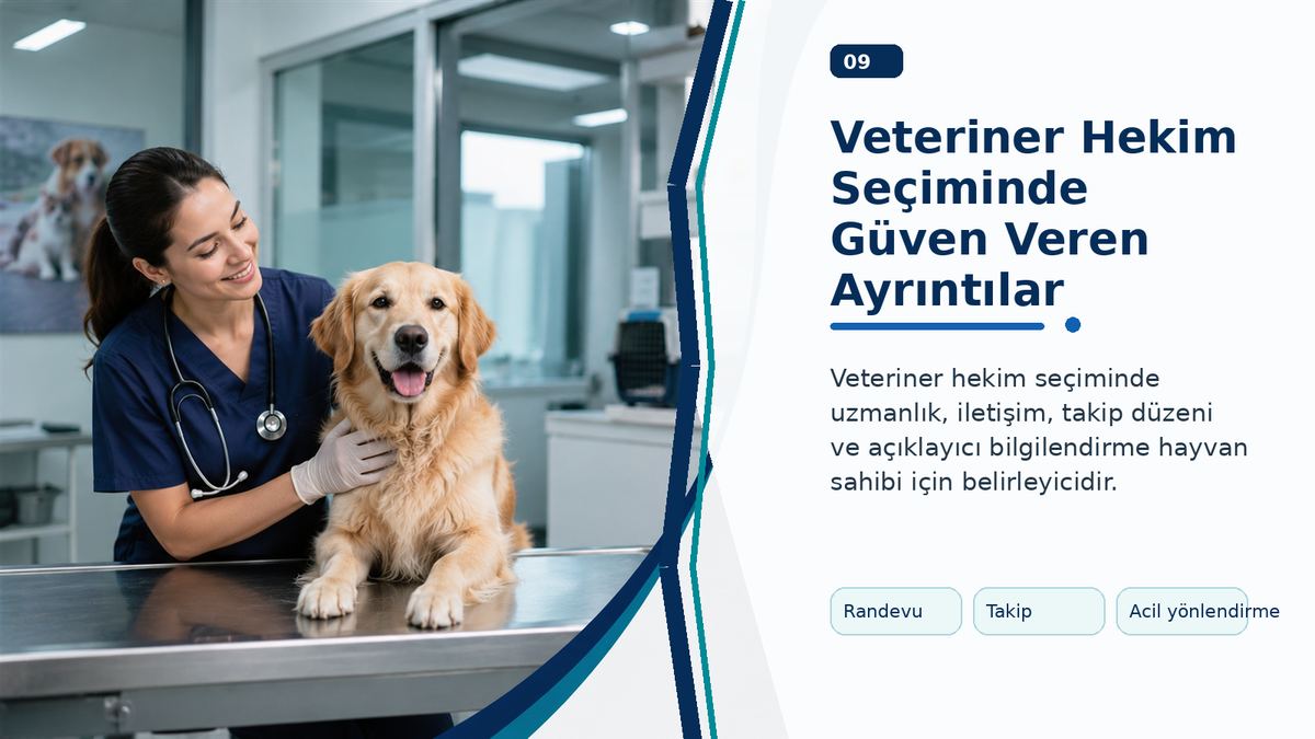 Veteriner Hekim Seçiminde Güven Veren Ayrıntılar görseli