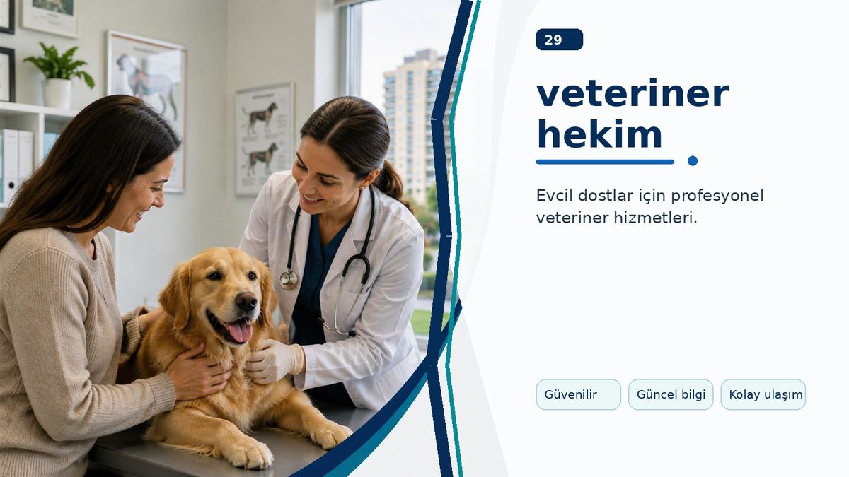 Veteriner Hekim Seçiminde Güven Veren Ayrıntılar ikinci görsel