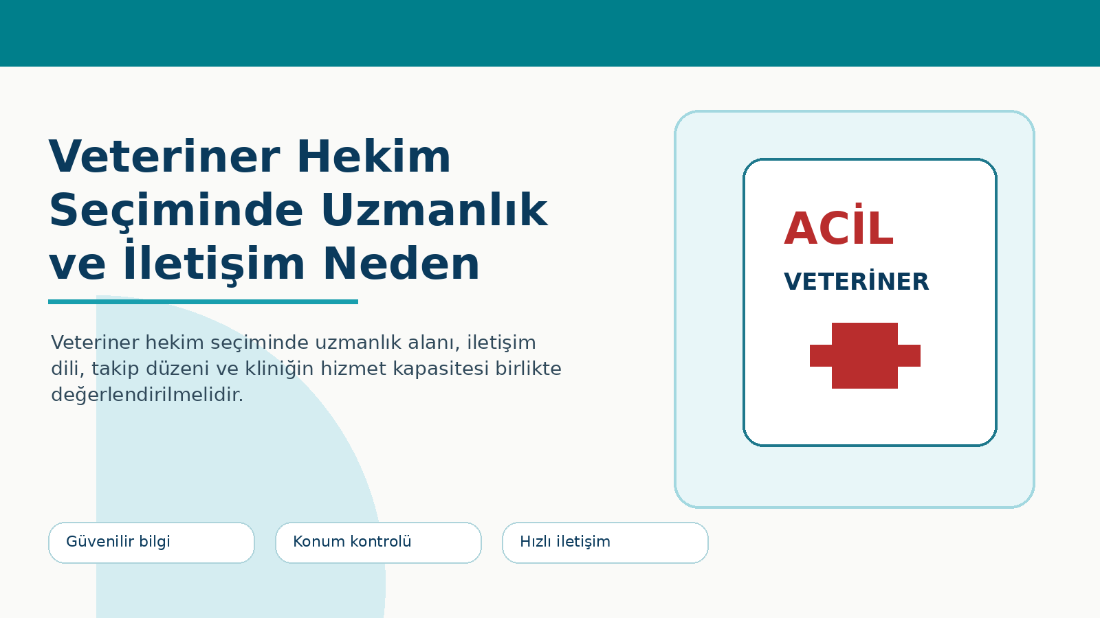 Veteriner Hekim Seçiminde Uzmanlık ve İletişim Neden Önemlidir?