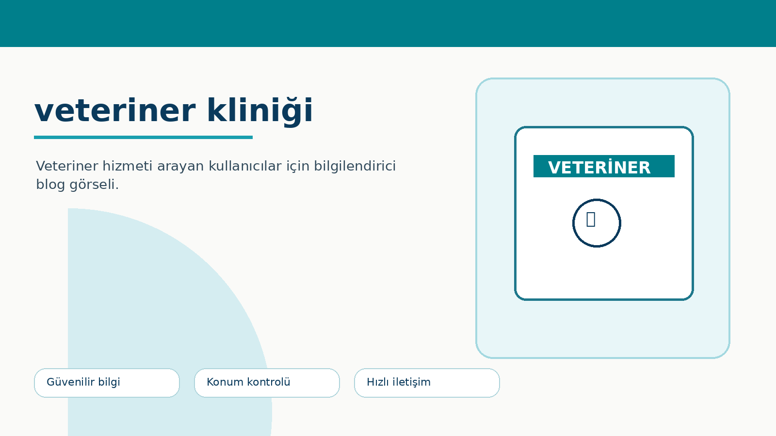Veteriner Kliniği Seçerken Dikkat Edilmesi Gerekenler ikinci görsel