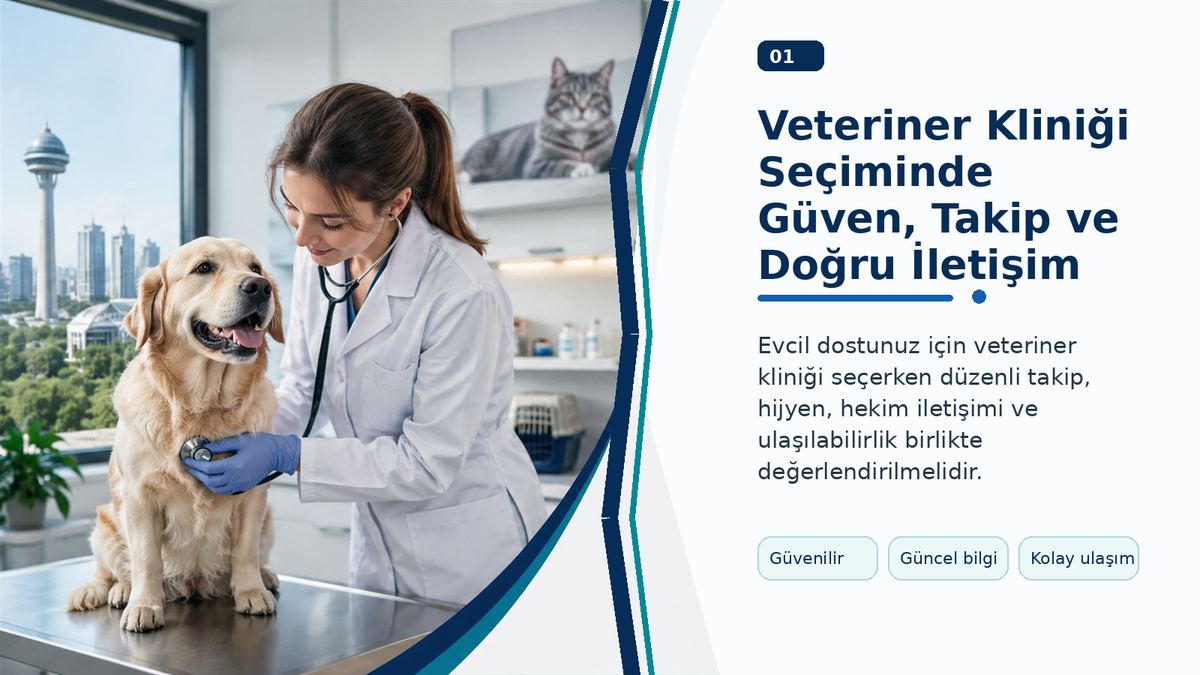 Veteriner Kliniği Seçiminde Güven, Takip ve Doğru İletişim görseli