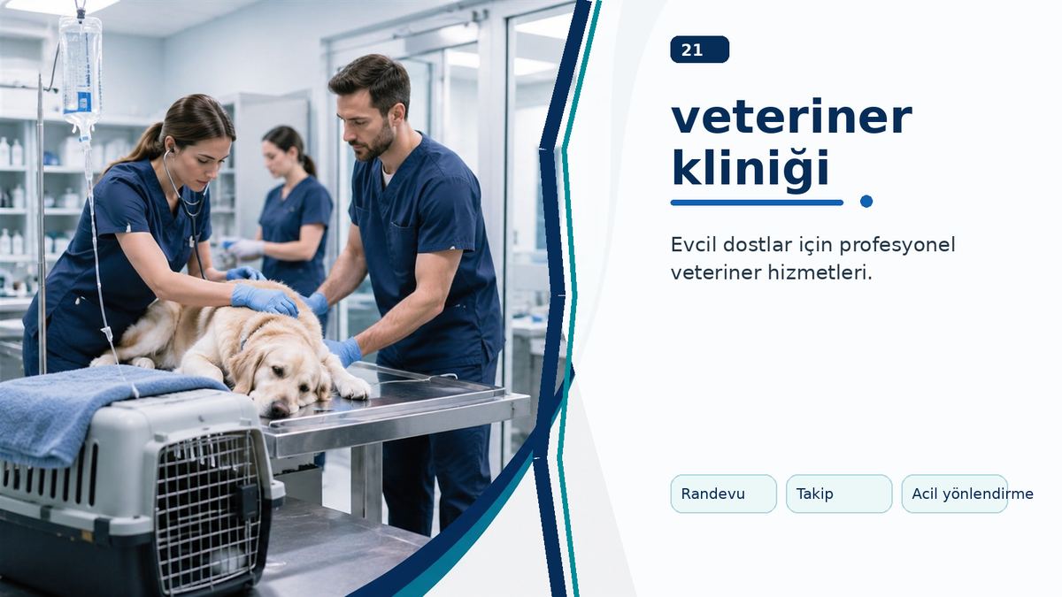 Veteriner Kliniği Seçiminde Güven, Takip ve Doğru İletişim ikinci görsel
