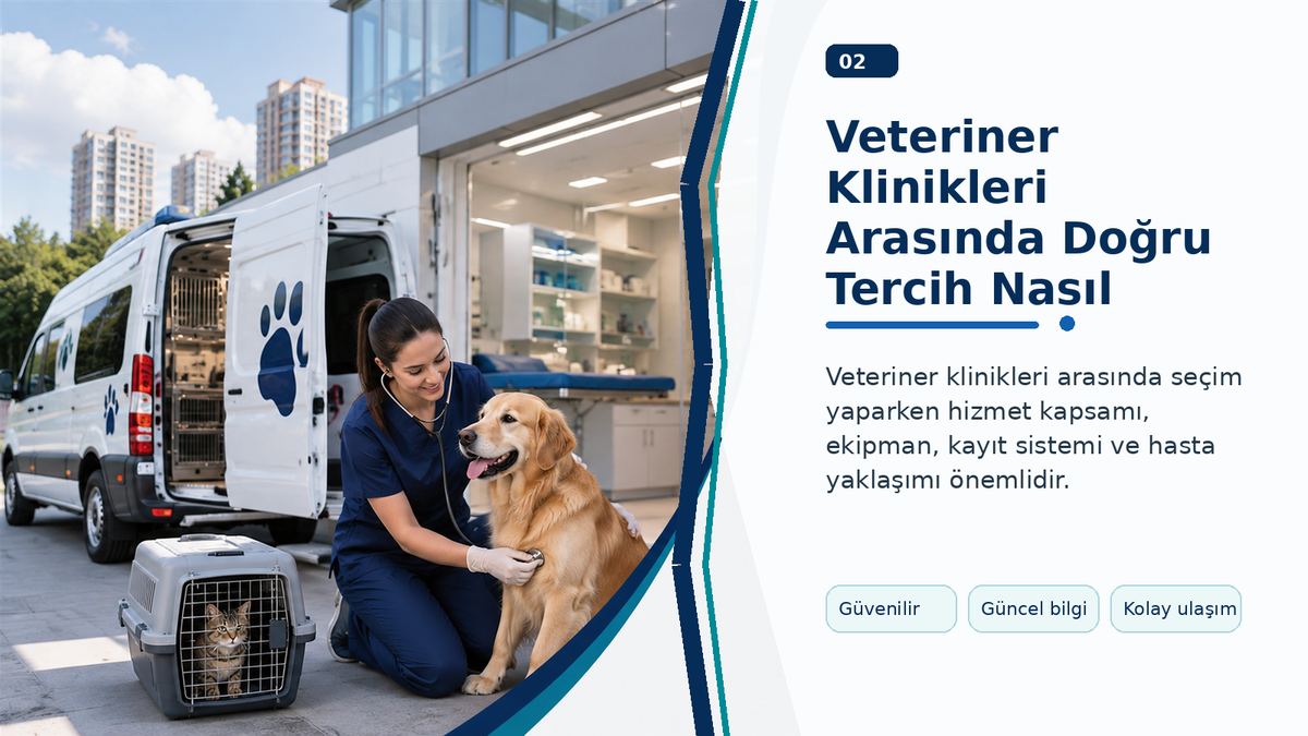 Veteriner Klinikleri Arasında Doğru Tercih Nasıl Yapılır? görseli
