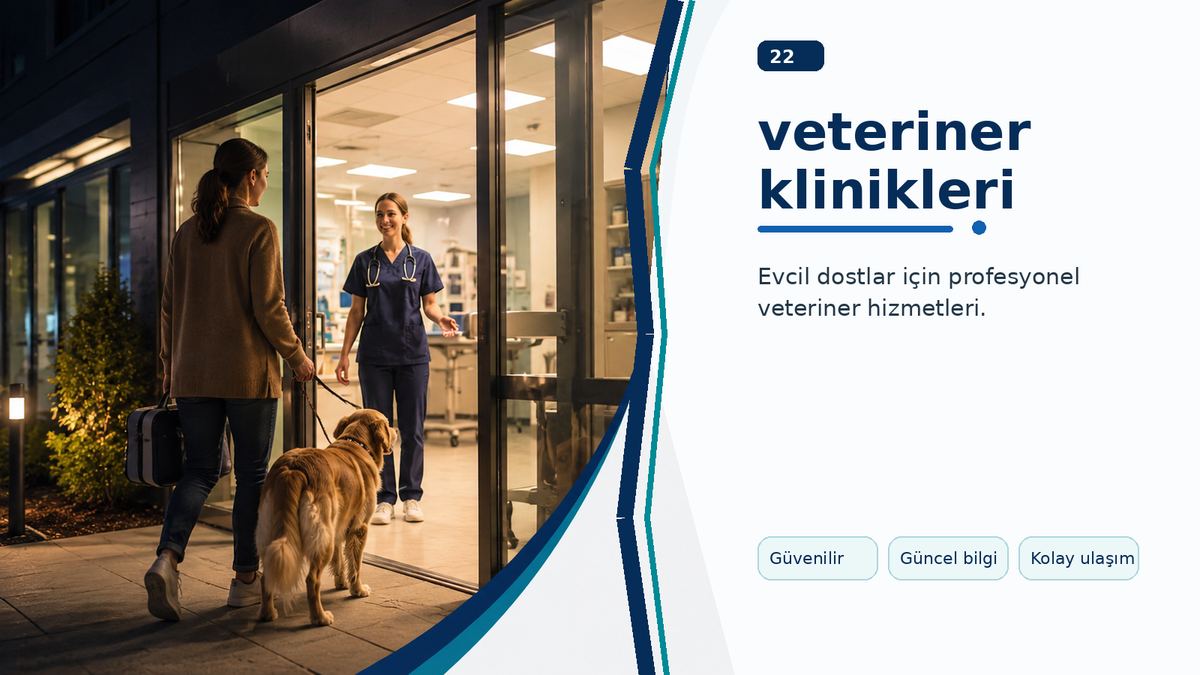 Veteriner Klinikleri Arasında Doğru Tercih Nasıl Yapılır? ikinci görsel