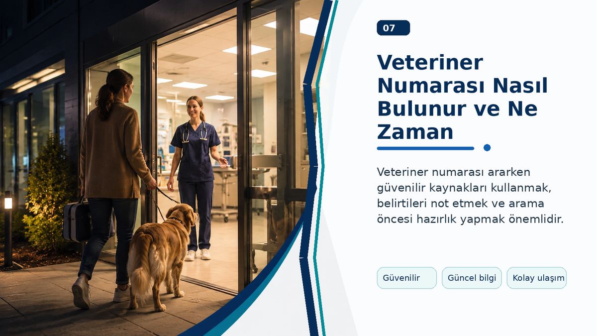 Veteriner Numarası Nasıl Bulunur ve Ne Zaman Aranmalıdır? görseli
