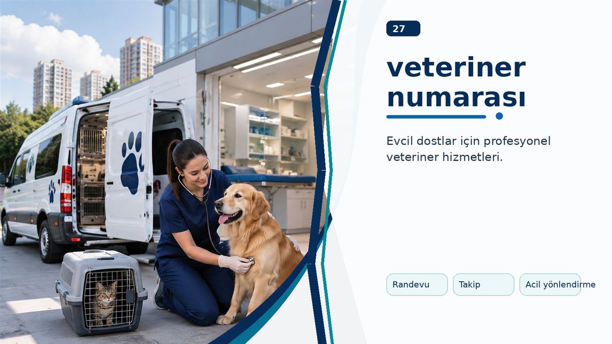 Veteriner Numarası Nasıl Bulunur ve Ne Zaman Aranmalıdır? ikinci görsel