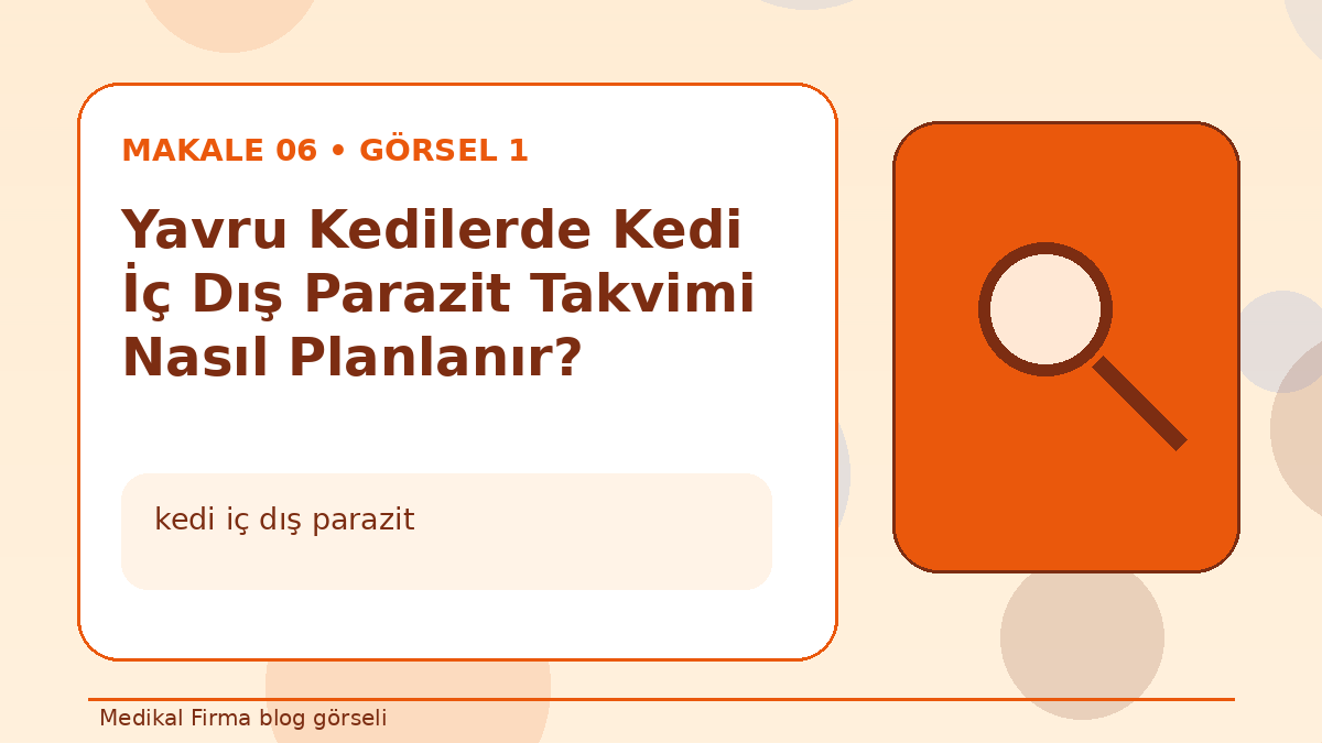 Yavru Kedilerde Kedi İç Dış Parazit Takvimi Nasıl Planlanır? görseli