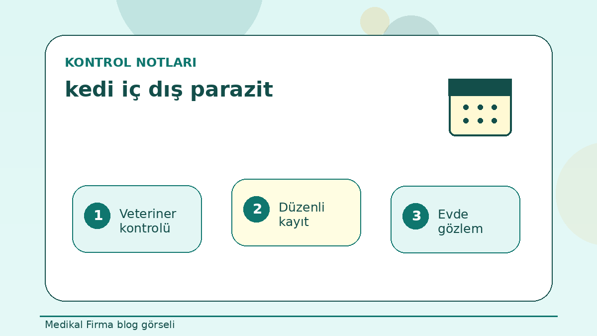 Yavru Kedilerde Kedi İç Dış Parazit Takvimi Nasıl Planlanır? ikinci görsel
