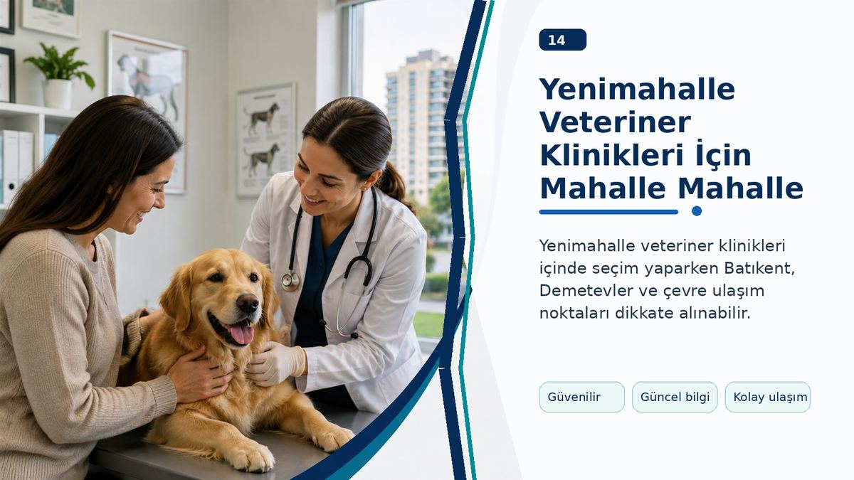 Yenimahalle Veteriner Klinikleri İçin Mahalle Mahalle Değerlendirme görseli