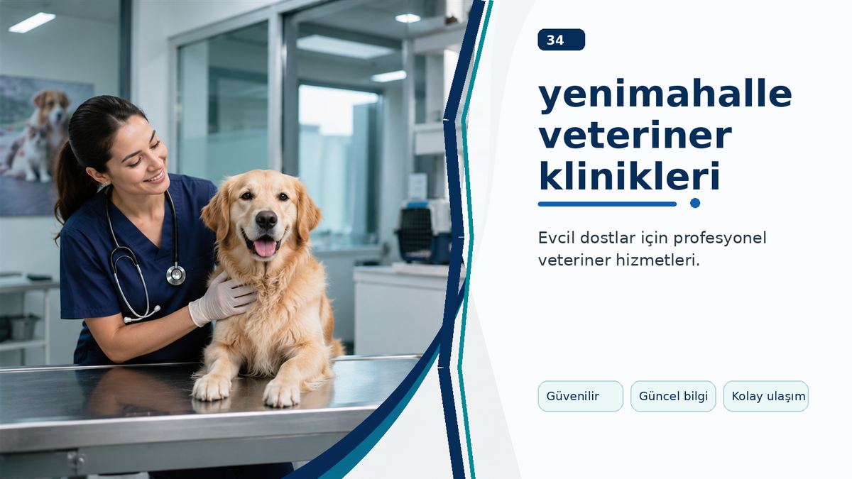 Yenimahalle Veteriner Klinikleri İçin Mahalle Mahalle Değerlendirme ikinci görsel